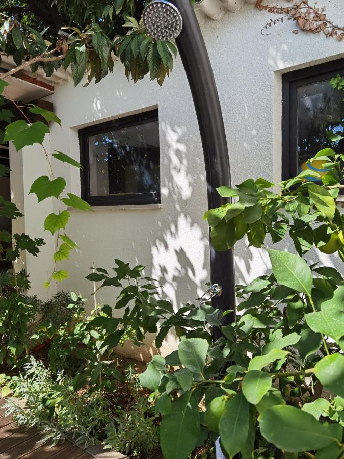 Pine And Lime Apartments Pula Exterior photo
